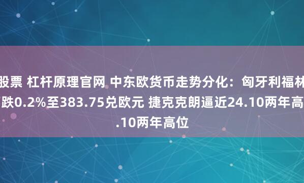 股票 杠杆原理官网 中东欧货币走势分化：匈牙利福林下跌0.2%至383.75兑欧元 捷克克朗逼近24.10两年高位